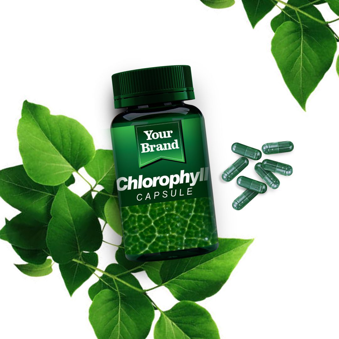 Chlorophyll Capsule - Gallery image 1 - Traditional Medicine OEM product by Edmark Industries