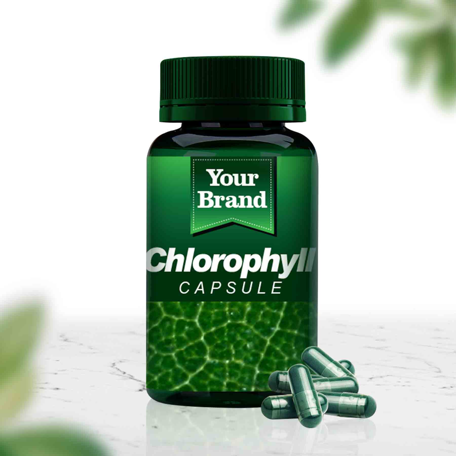 Chlorophyll Capsule - Gallery image 2 - Traditional Medicine OEM product by Edmark Industries
