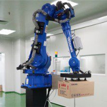 Palletizing Robot Grid 1 - Edmark Industries OEM manufacturer Malaysia