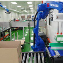 Palletizing Robot Grid 2 - Edmark Industries OEM manufacturer Malaysia