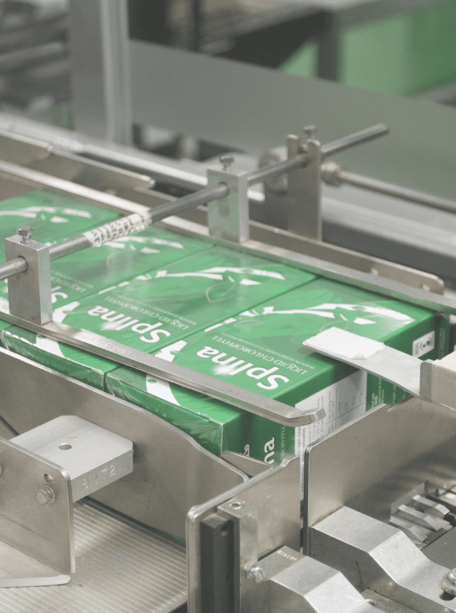 Splina cartons moving along the packing conveyor