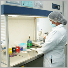 Laboratory technician preparing samples at the fume hood