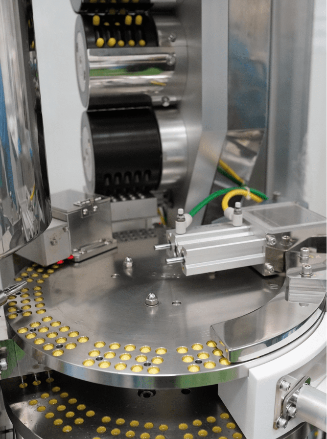 Softgel capsules on the rotary feeding table