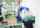 Robotic arm case-packing products into a carton on the roller conveyor