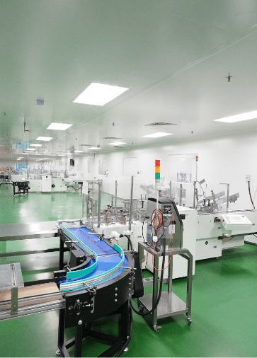 Packing hall with automated conveyor lines