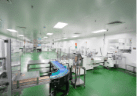 Packing hall with automated conveyor lines