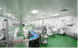 Packing hall with automated conveyor lines
