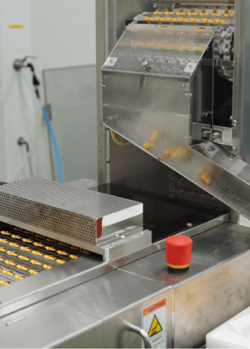 Softgel capsules on the discharge chute of the encapsulation machine