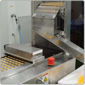 Softgel capsules on the discharge chute of the encapsulation machine