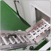 Sachet strips on the transfer conveyor to cartoning