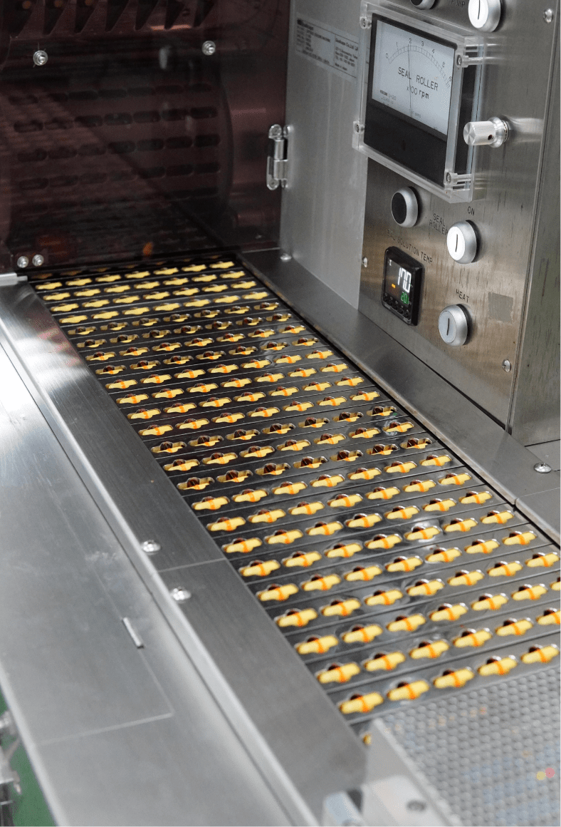 Capsules moving along the stainless steel conveyor of the high-speed packing line