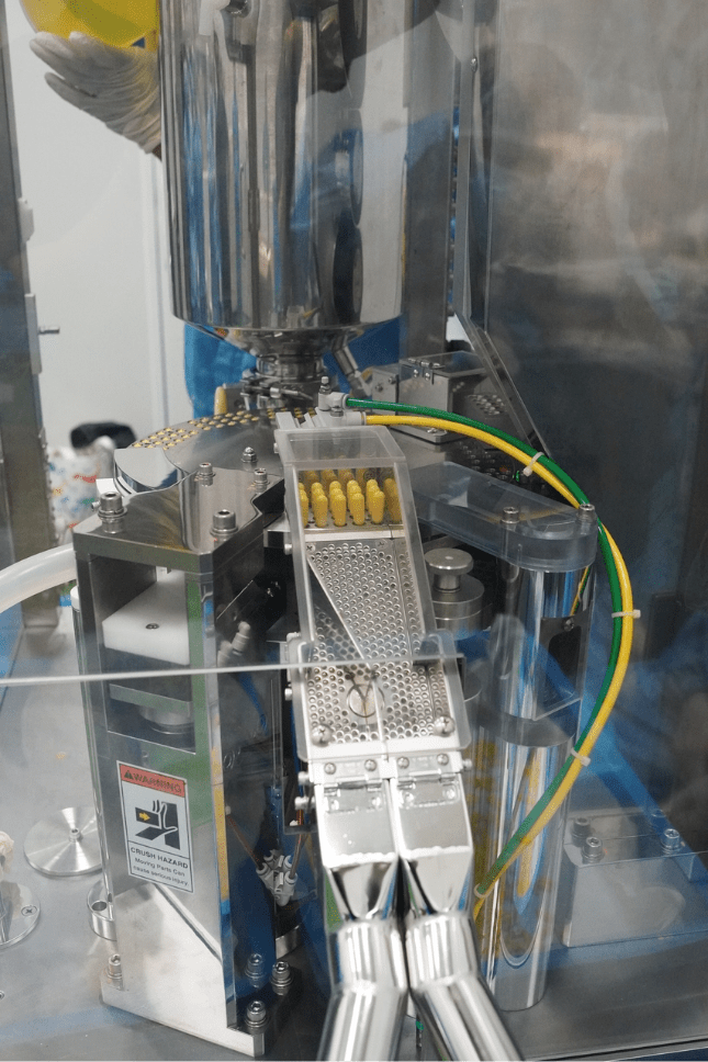 Capsules in the stainless steel feed hopper of the high-speed filling machine