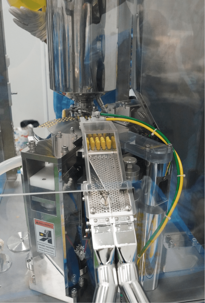 Capsules in the stainless steel feed hopper of the high-speed filling machine